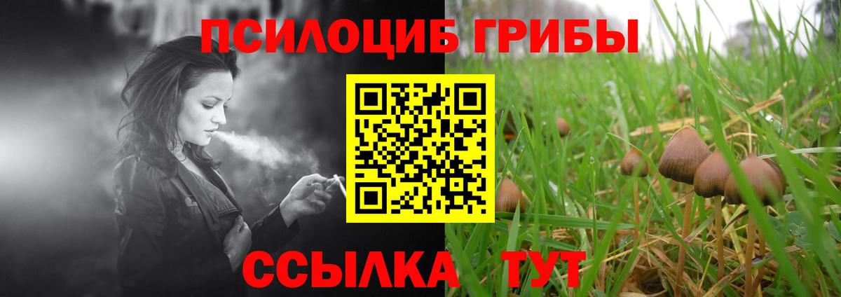 Галлюциногенные грибы ЛСД Елец